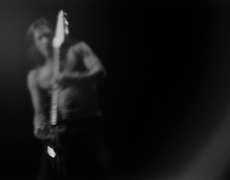 Der Elefant · Elefante